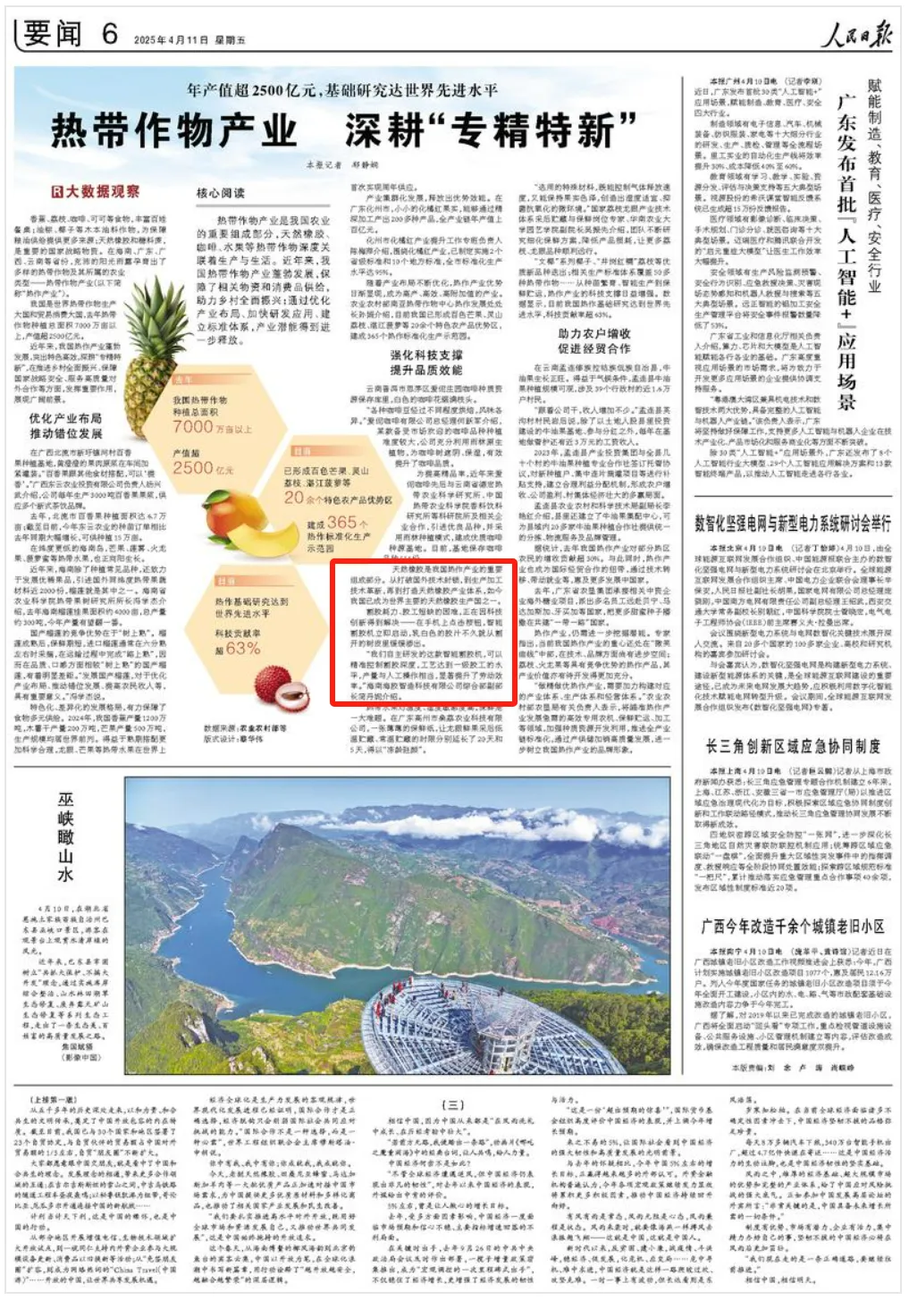 人民日?qǐng)?bào)報(bào)道海南橡膠研發(fā)成果：割膠耗力、膠工短缺的困難，正在因科技創(chuàng)新得到解決